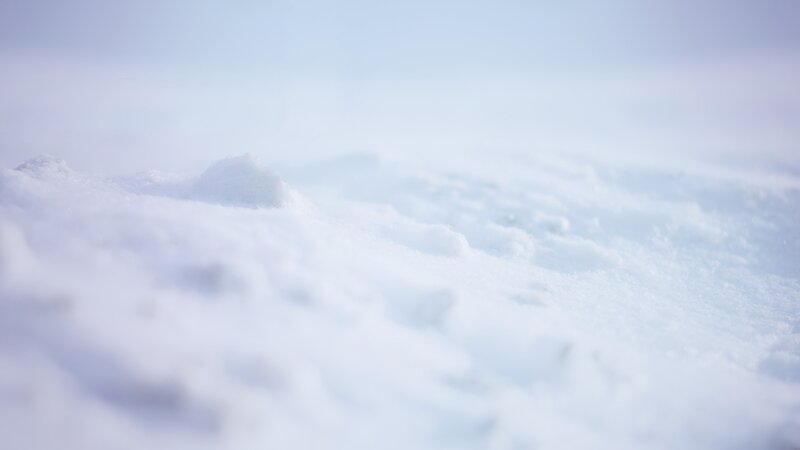 Snow-covered Ground — White, Serene, Winter, Photograph, Snow