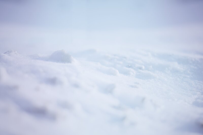 Snow-covered Ground — White, Serene, Winter, Photograph