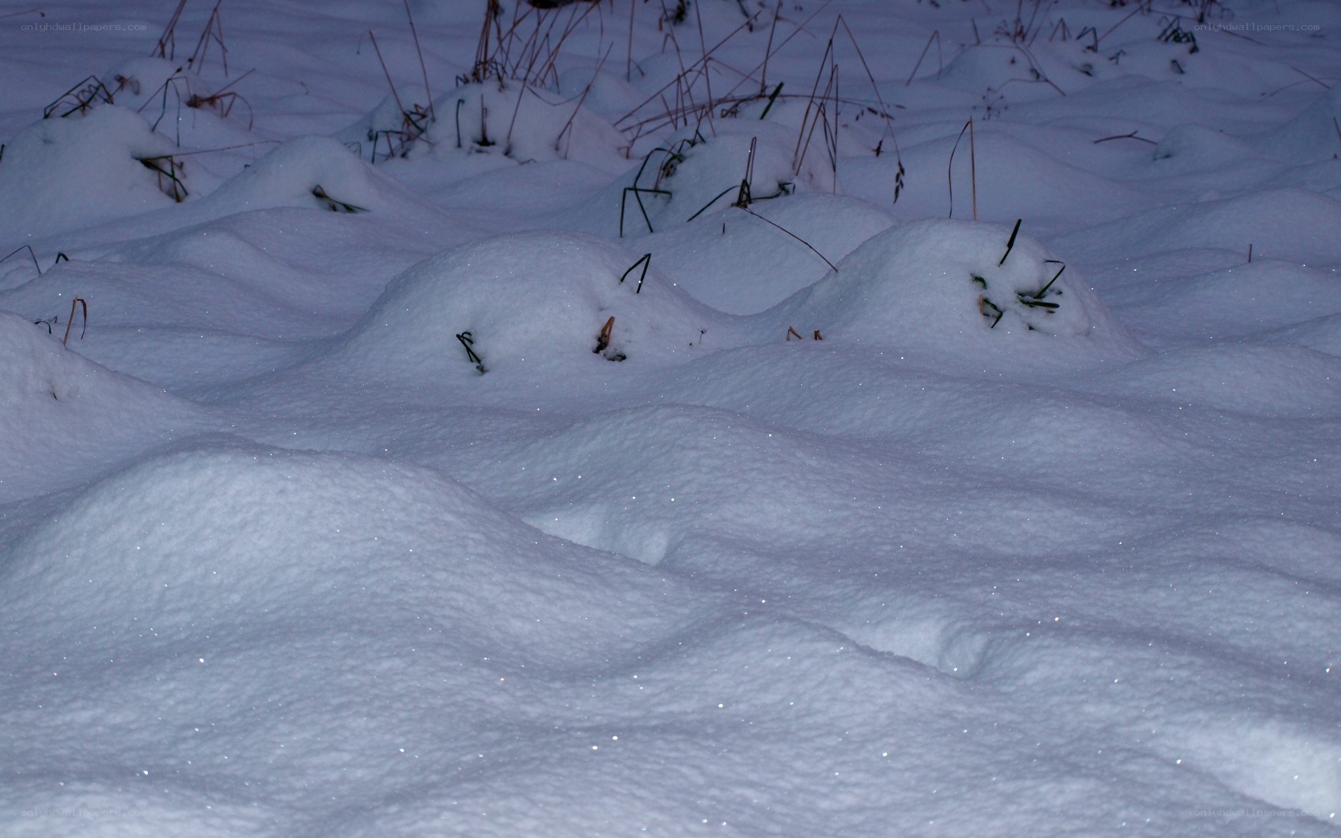 Snow-covered ground with grass