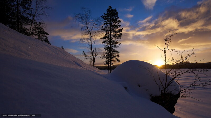 Snow-covered Hill at Sunset — Blue, Serene, Photograph, Trees