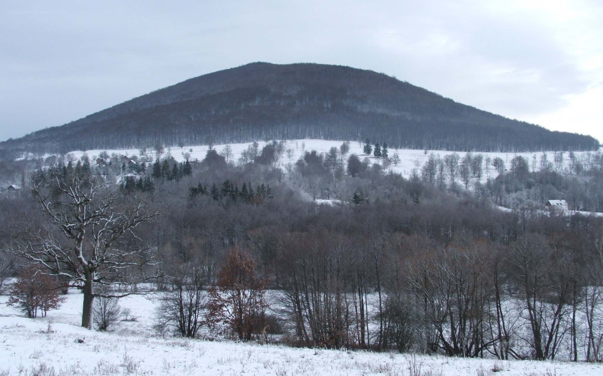 snow-covered hill in winter