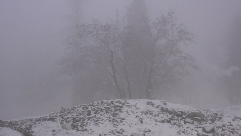 Snow-covered Hill with Trees