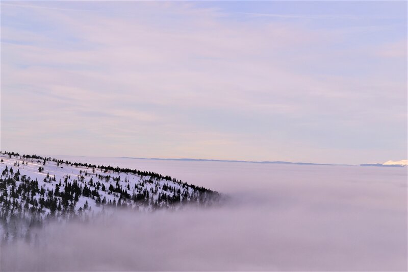 Snow-covered Hill with Trees — White, Serene, Winter, Photograph, Fog