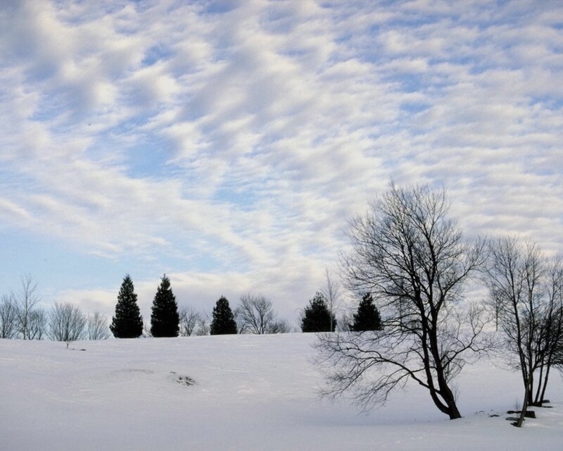 Snow-covered Hill with Trees — White, Serene, Winter, Photograph, Sky
