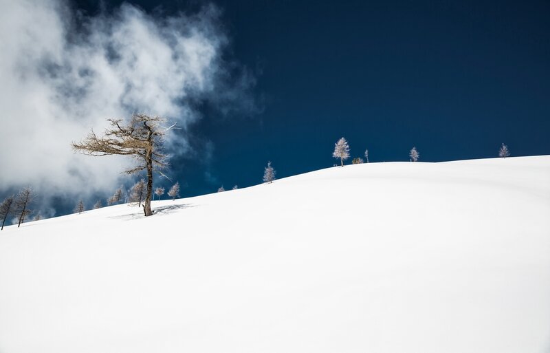 Snow-covered Hill with Trees — White, Serene, Winter, Photograph