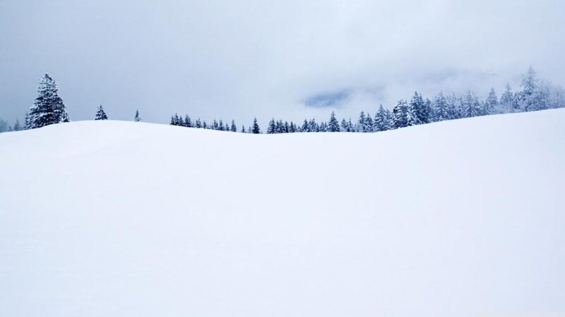 Snow-covered Hill with Trees — White, Serene, Winter