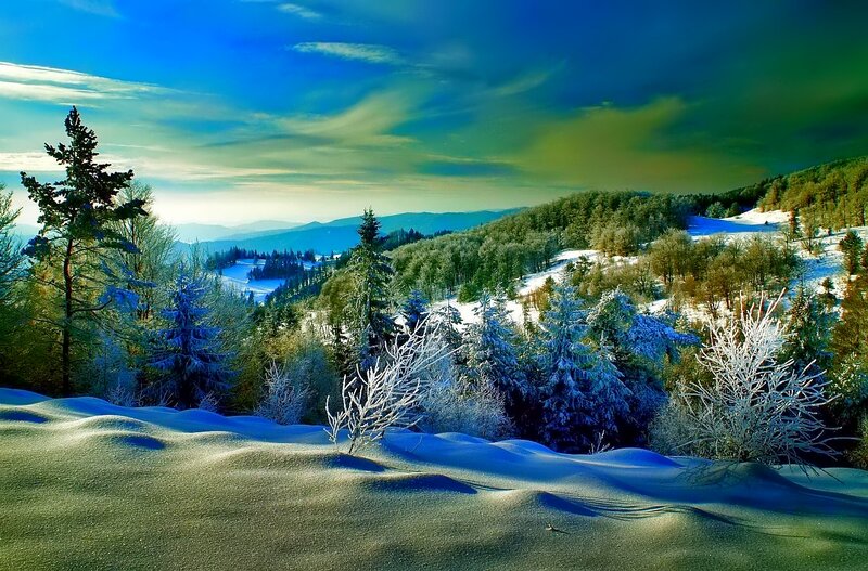 Snow-covered Hills and Trees — Blue