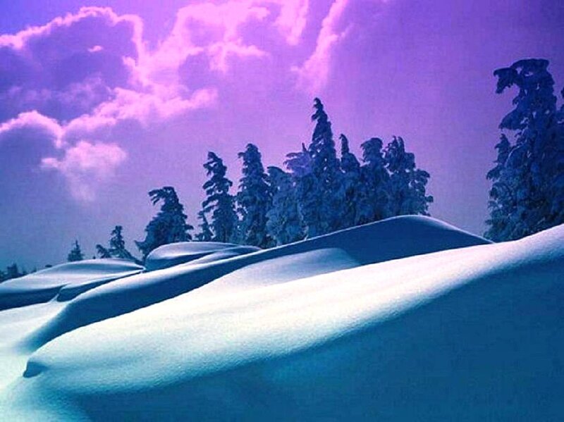 Snow-covered Hills and Trees — Purple