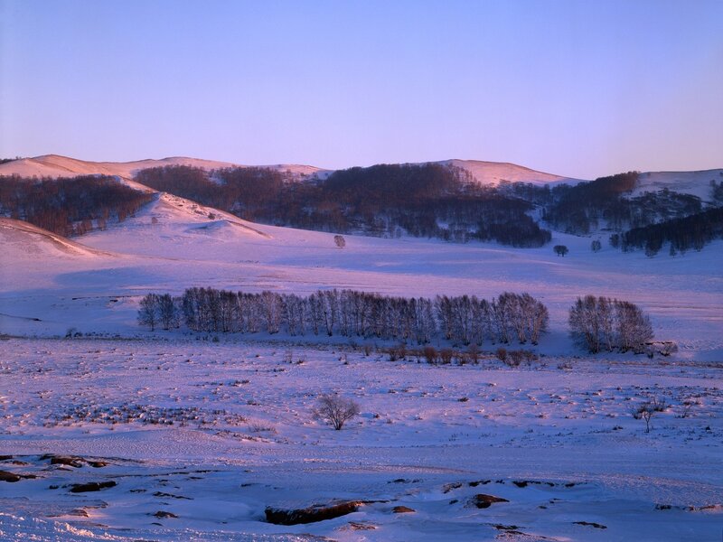 Snow-covered Hills and Trees — White, Serene