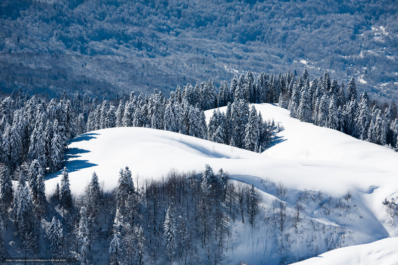 Snow-covered Hills and Trees — White, Serene, Winter