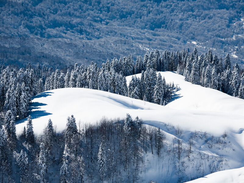 Snow-covered Hills and Trees — White