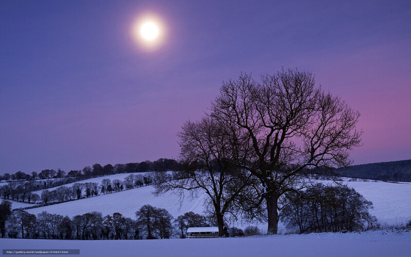 Snow-covered Hills at Night — Purple