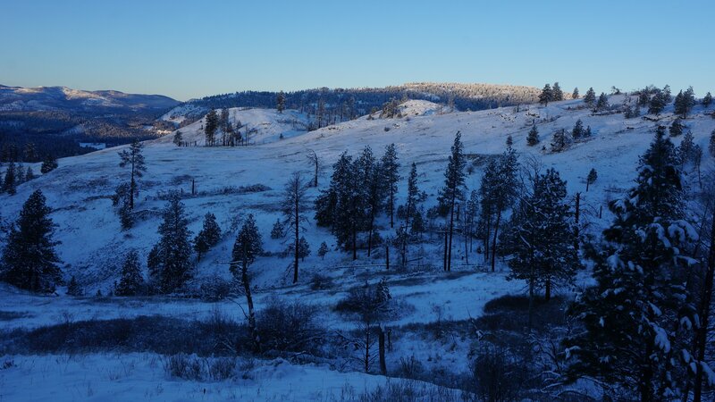Snow-covered Hills with Trees — Blue, Serene