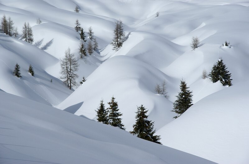 Snow-covered Hills with Trees — White