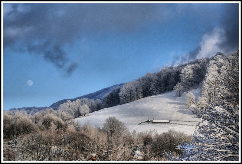 Snow-covered Hillside