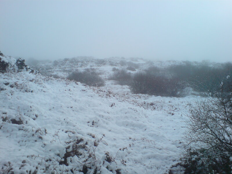 Snow-covered Hillside — White, Cold, Foggy