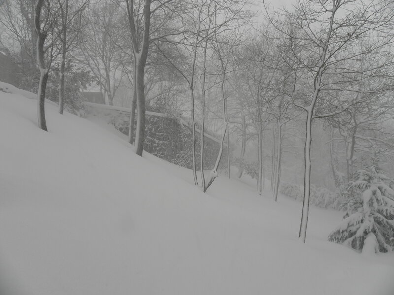 Snow-covered Hillside — White, Cold, Winter, Photograph