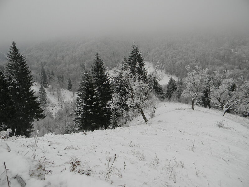 Snow-covered Hillside — White, Cold, Winter