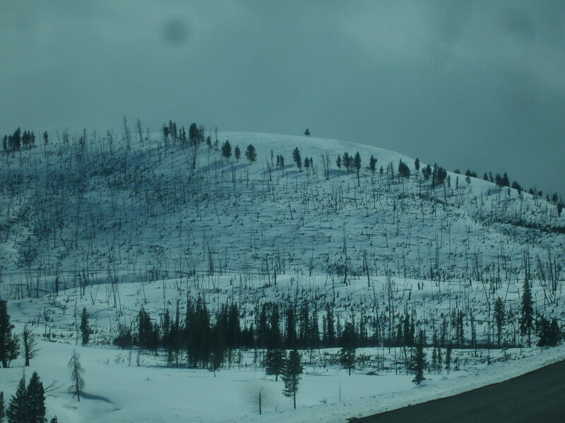 Snow-covered Hillside — White, Dreary