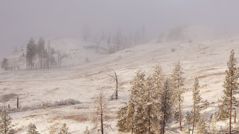 Snow-covered Hillside — White, Misty