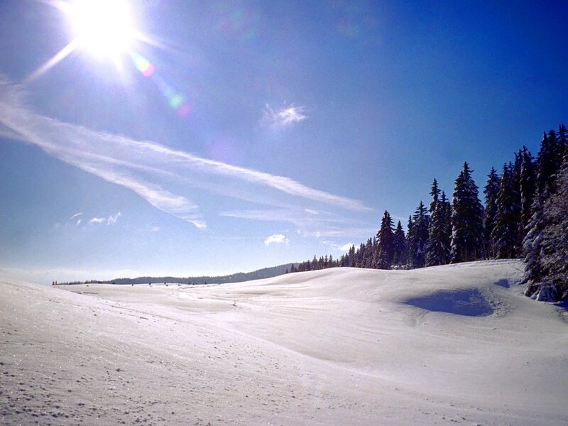 Snow-covered Hillside — White, Serene