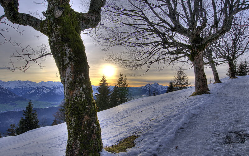 Snow-covered Hillside — White, Serene, Winter, Photograph