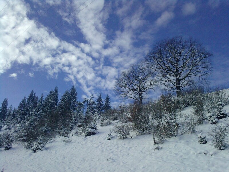 Snow-covered Hillside — White