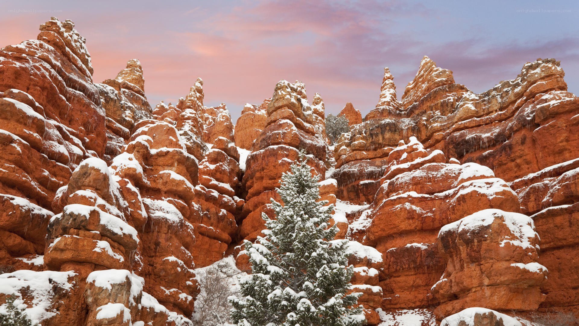 Snow-covered hoodoos at sunset