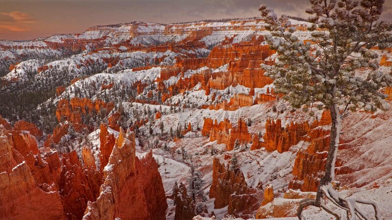 Snow-covered Hoodoos — Red, Dramatic