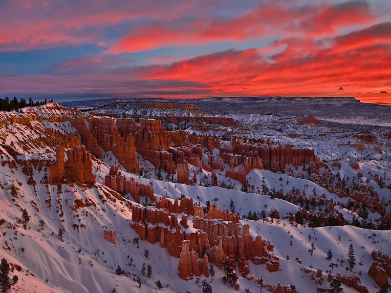 Snow-covered Hoodoos — Red, Dramatic, Winter