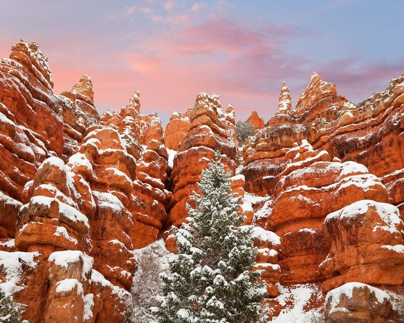 Snow-covered Hoodoos