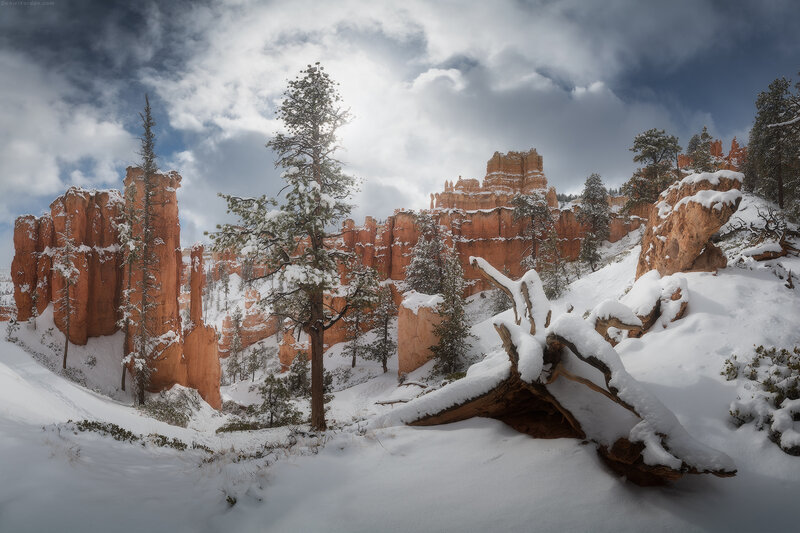 Snow-covered Hoodoos — White, Dramatic
