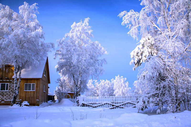 Snow-covered House and Trees — Blue