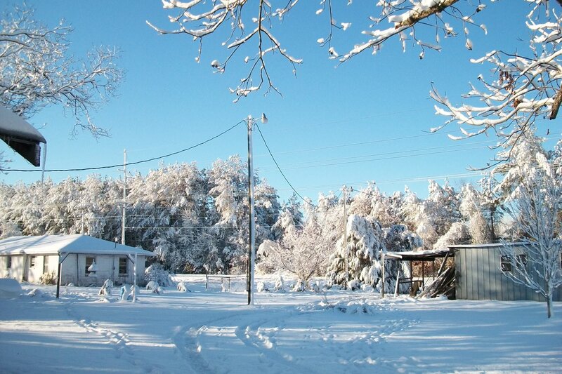 Snow-covered House and Trees
