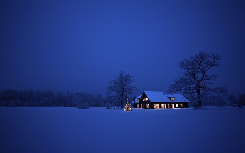 Snow-covered House at Night — Blue, Serene, Photograph, Christmas Tree, Bare Trees
