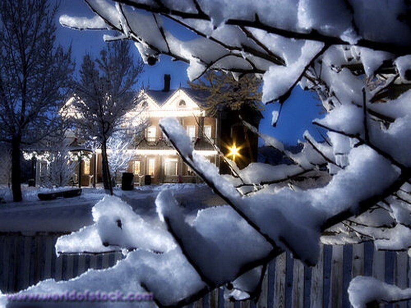 Snow-covered House at Night — Blue, Serene, Photograph, Snow, Trees