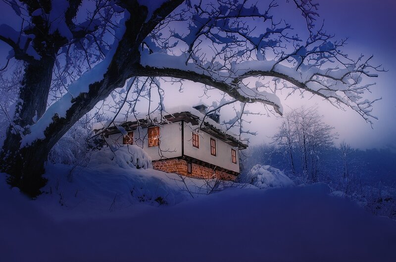 Snow-covered House — Blue, Serene, Winter, Photograph