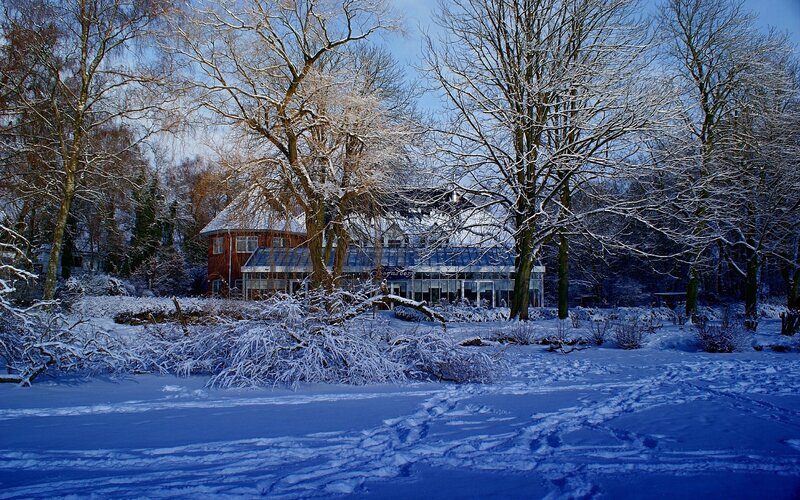 Snow-covered House in Forest — Blue, Serene