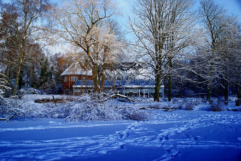 Snow-covered House in Forest — Blue