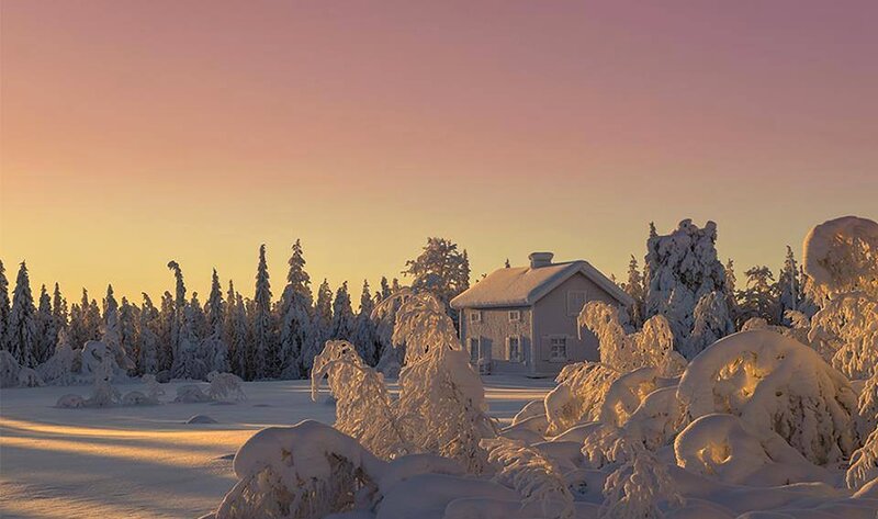 Snow-covered House in Forest — Pink