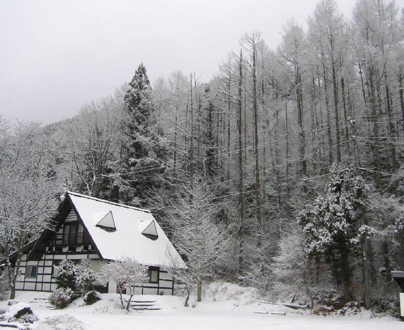 Snow-covered House in Forest — White, Serene