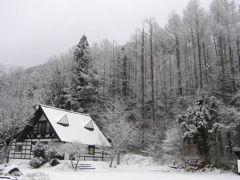 Snow-covered House in Forest — White