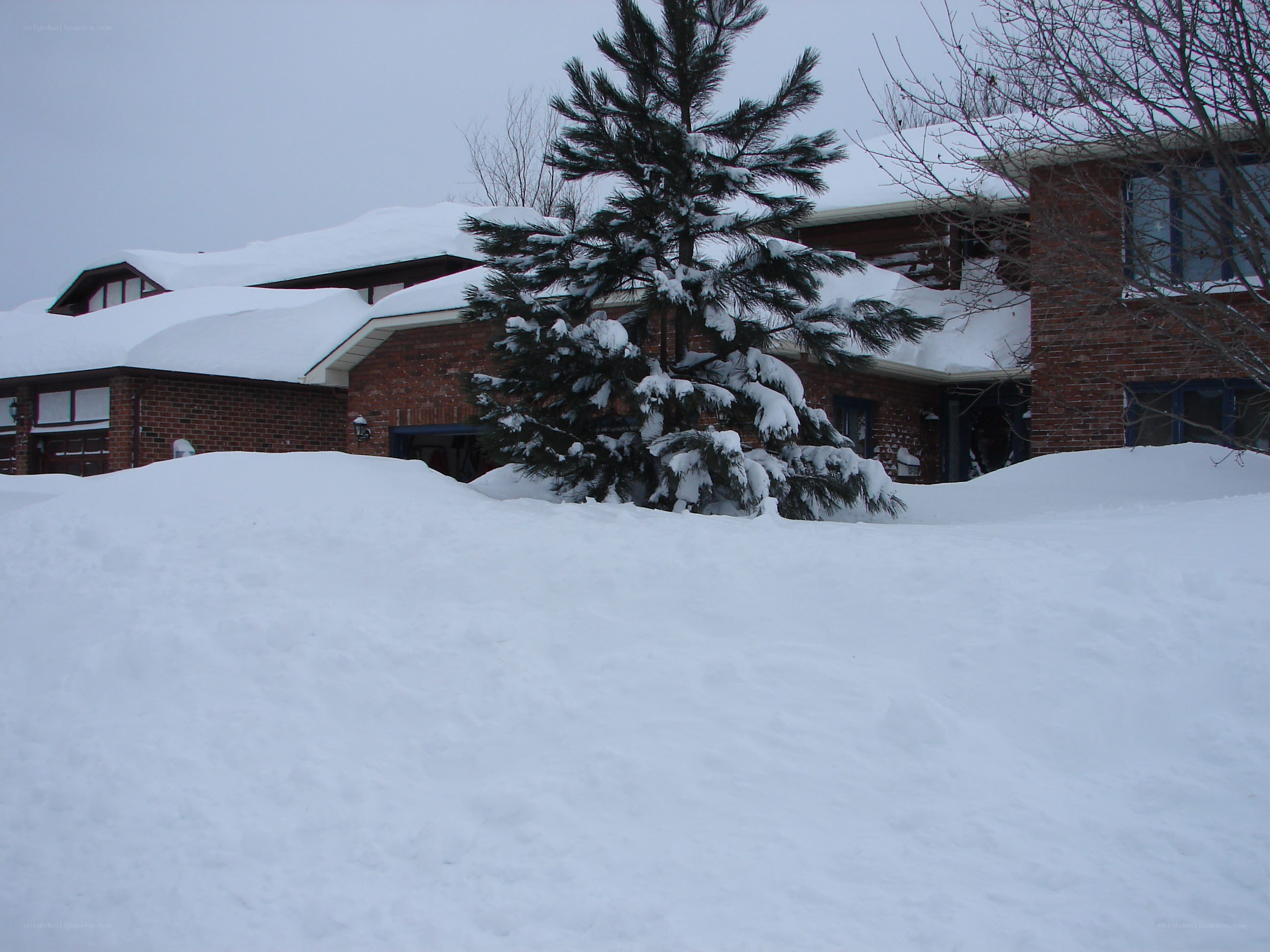 snow-covered house in winter