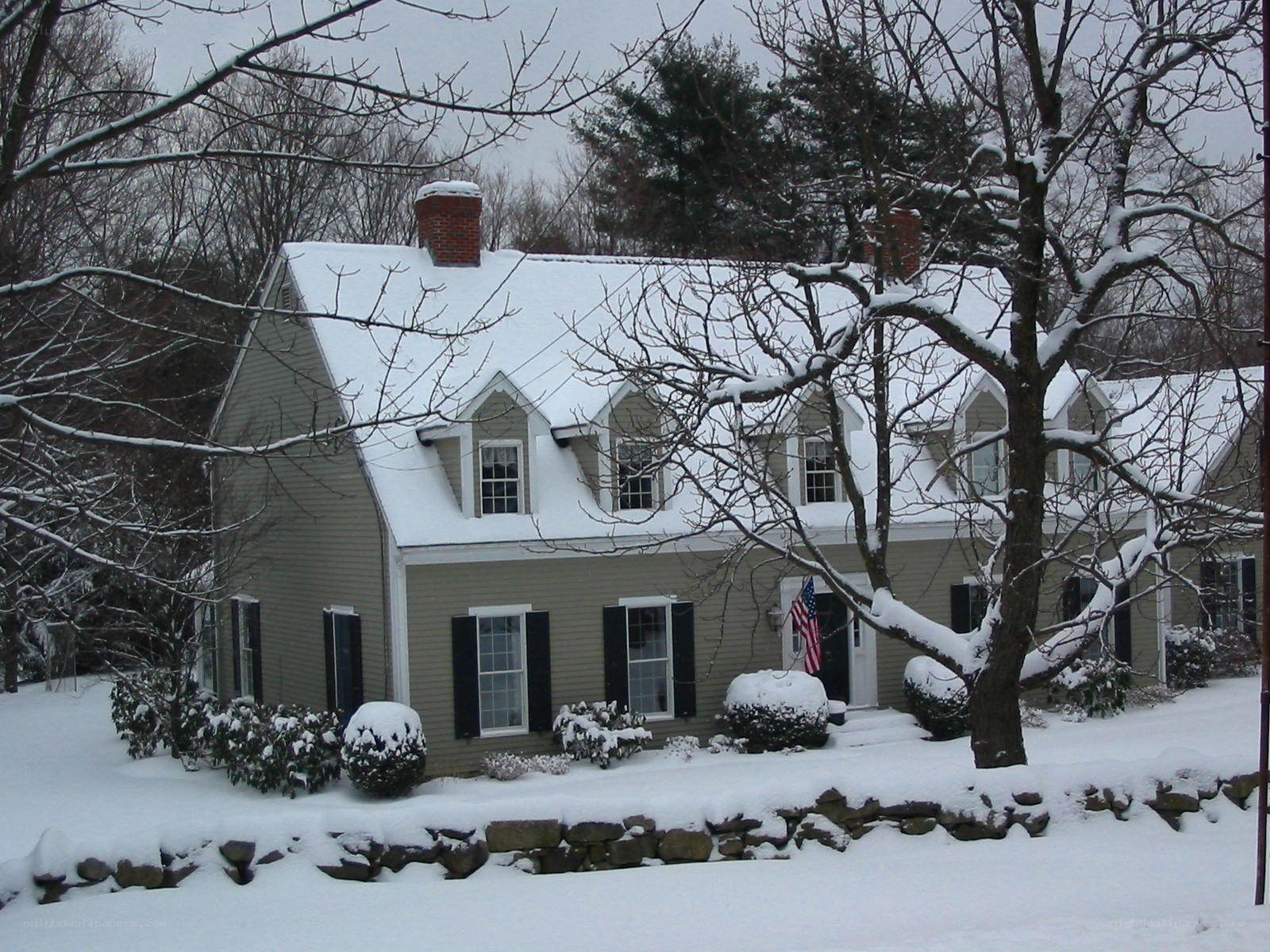 Snow-covered house in winter