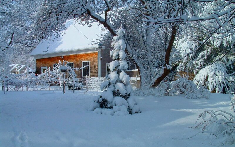 Snow-covered House — White, Serene, Winter, Photograph, Tree, Snow, Fence