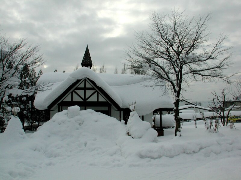 Snow-covered House — White, Serene, Winter, Photograph, Tree