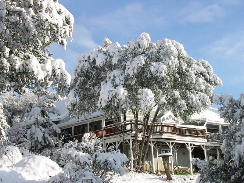 Snow-covered House — White, Serene, Winter, Photograph, Trees