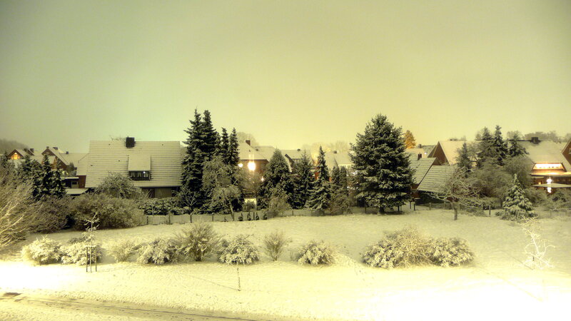 Snow-covered Houses and Trees — White, Calm