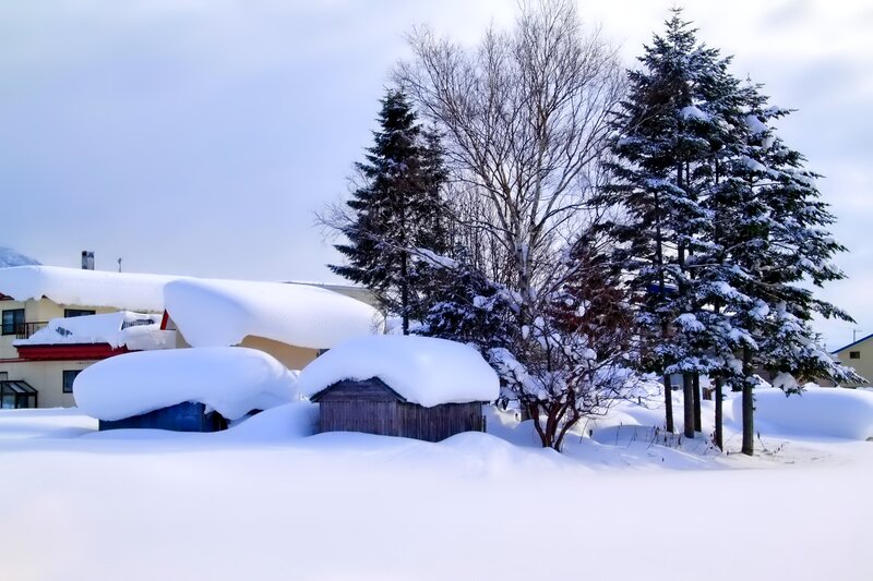 Snow-covered Houses and Trees — White, Serene