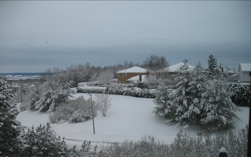 Snow-covered Houses and Trees — White